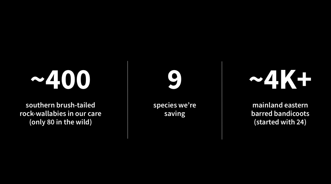 Disaster Relief Australia